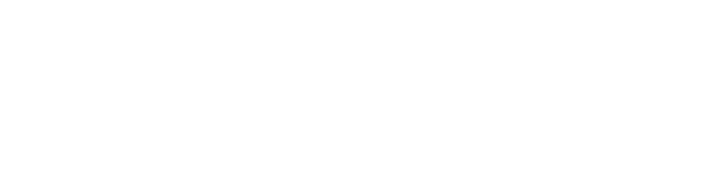 Aux frontières de l'histoire : la France