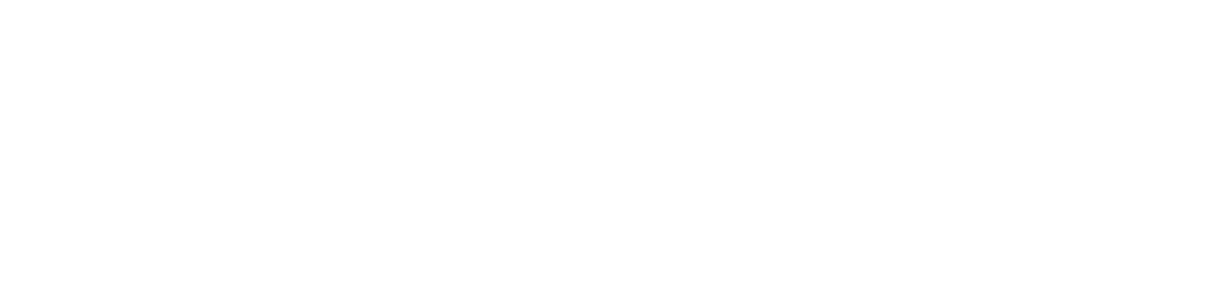 Quelle histoire : Les grands écrivains français