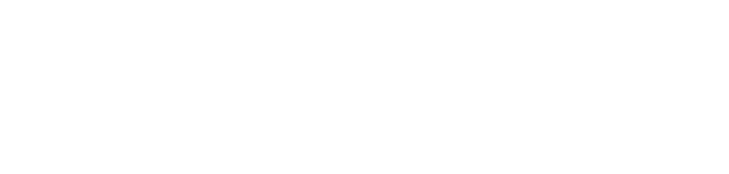 Sapiens, ou la naissance de l'art