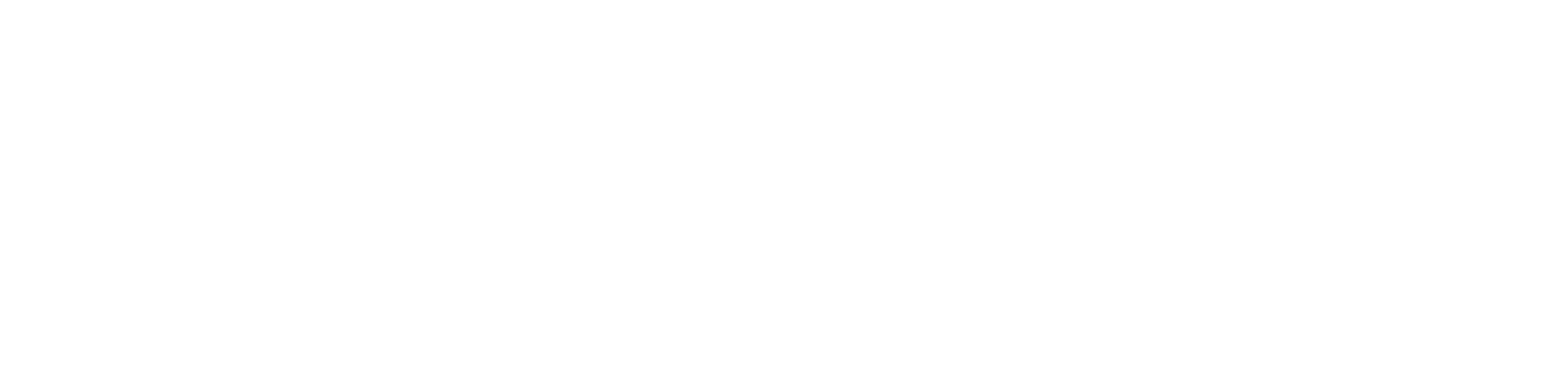 Journal d'une ambulancière