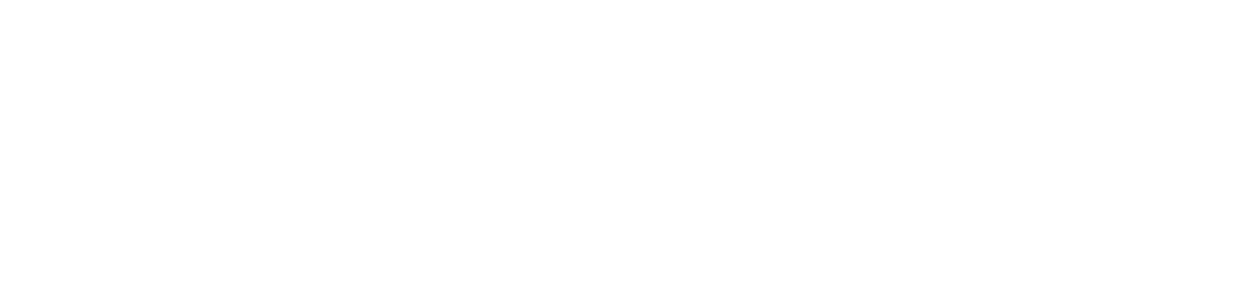 Baudouin, l'héritage d'un roi